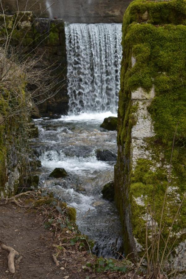 Hôtel Le Mélèze Moirans-en-Montagne Kültér fotó